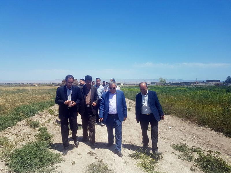سیستم آبیاری بارانی ویلمو مزرعه تحقیقاتی دانشگاه محقق به بهره برداری رسید