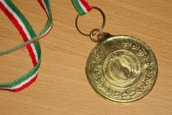 اهدای مدال قهرمان هانمادانگ به طرح کمک مومنانه
