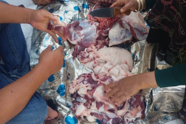 کمک 180میلیون تومانی عشایر اصلاندور به آسیب دیدگان کرونا / 20 رأس گوسفند قربانی شدند+ فیلم